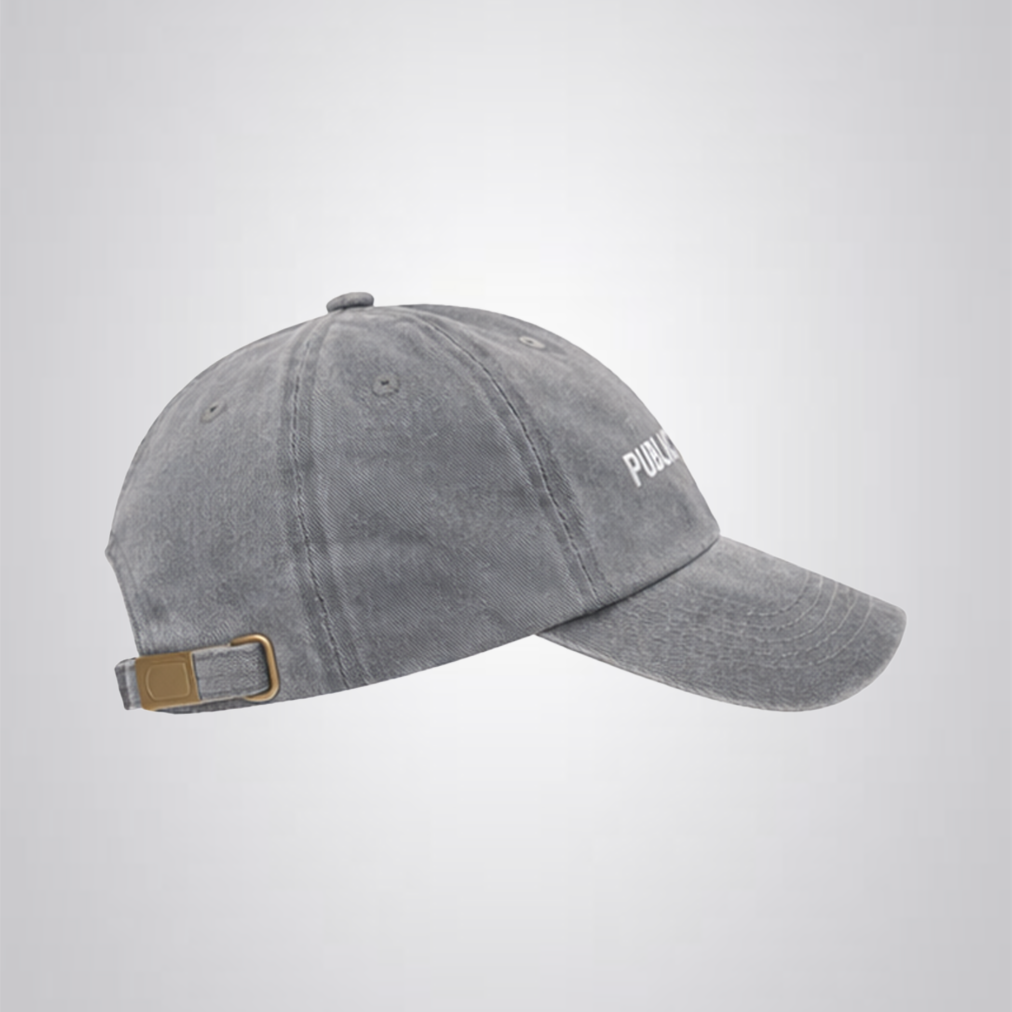 PUBLIC LOGO CAP