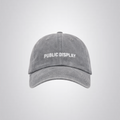 PUBLIC LOGO CAP
